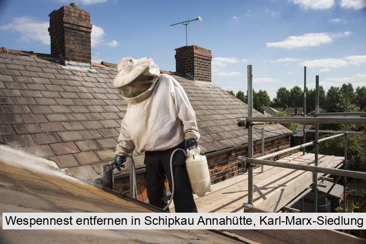 Wespennest entfernen in Schipkau Annahütte, Karl-Marx-Siedlung